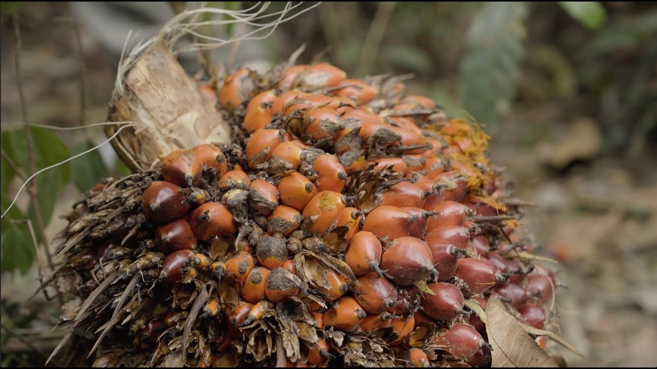 Elevated Sourcing | Whole Foods Market