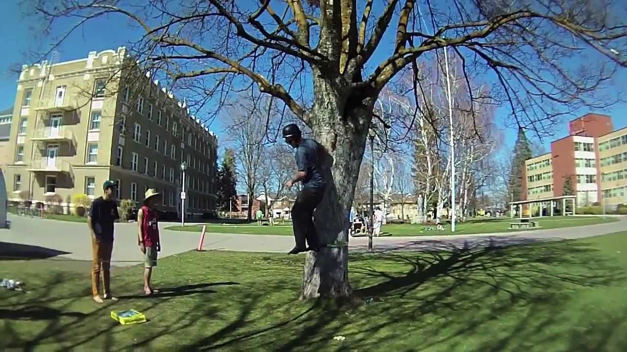 RUCKUS LIFE: GONZAGA