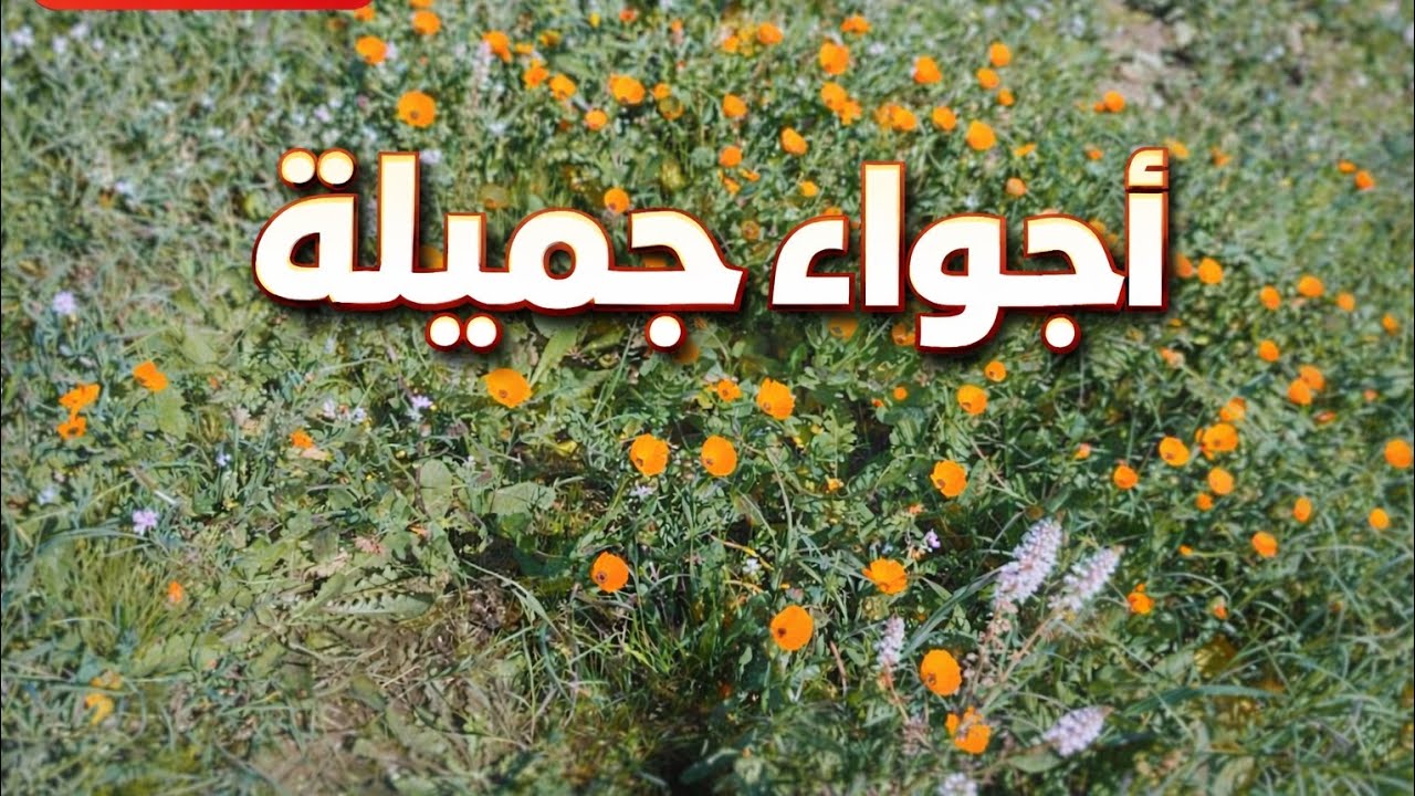 فصل الربيع 