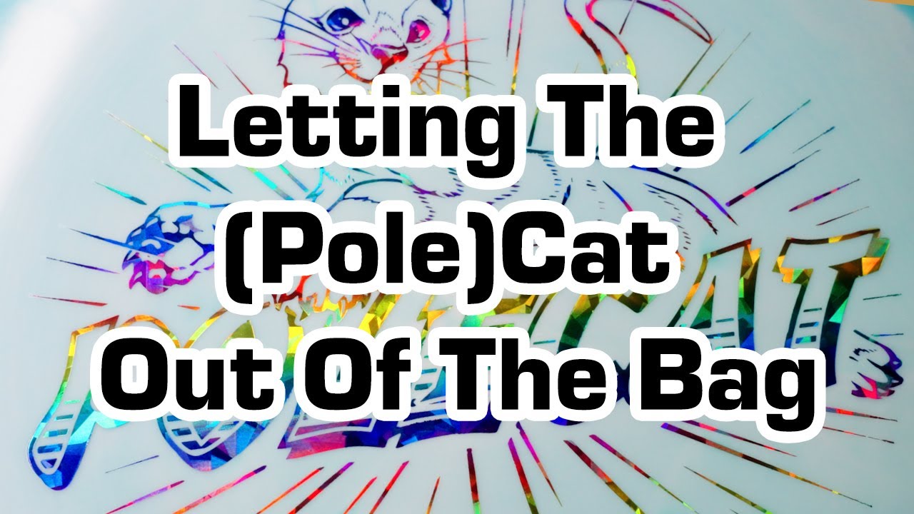 The Halo Polecat -- Letting The Cat Out Of The Bag