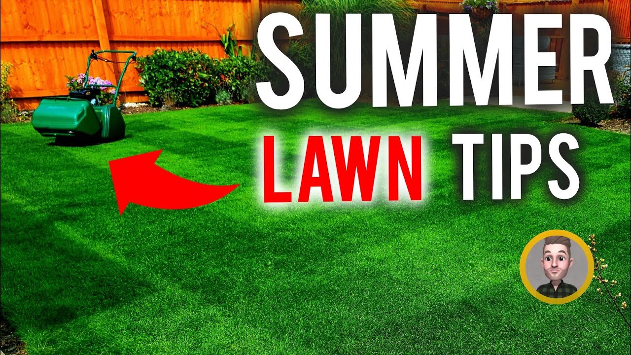 6 September Lawncare Calendar Tips // Scarify, Moss, Pests