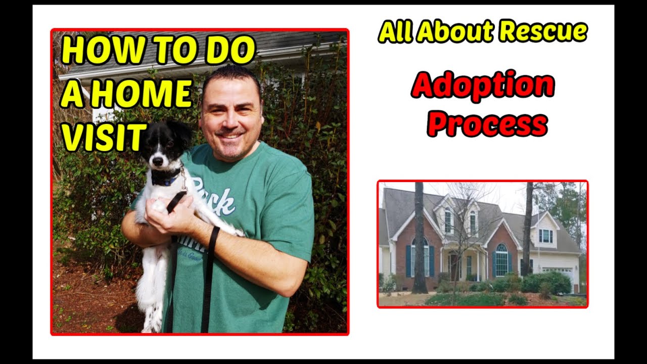 How to do a home visit for dog adoption. Dog rescue home visit video!