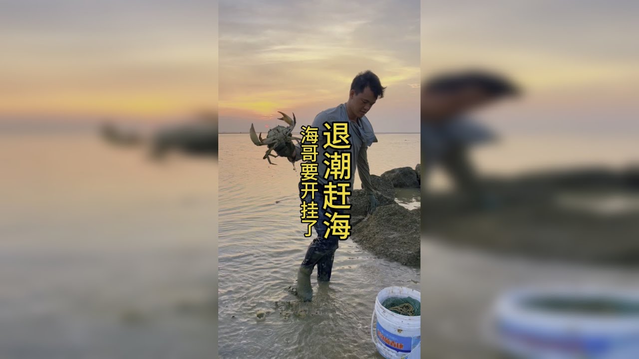 退大潮跟海哥来赶海，海哥今天又要开挂抓螃蟹了！！