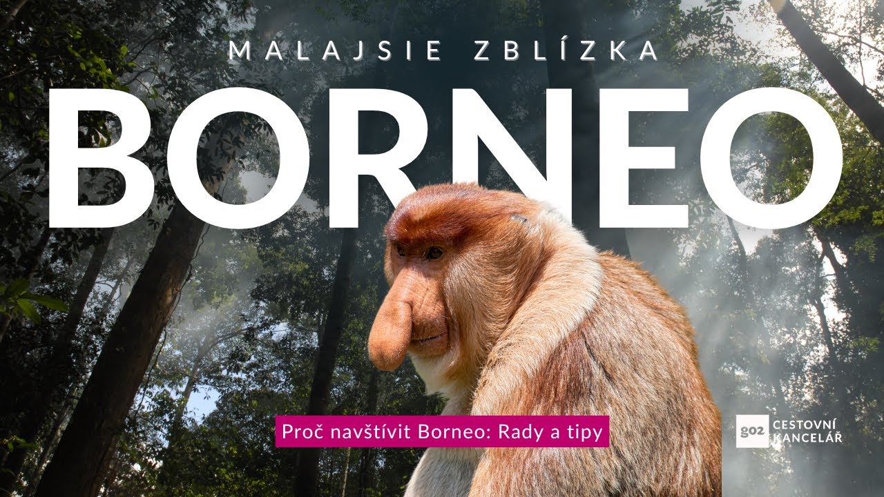 Proč navštívit Borneo? Malajsie zblízka: Co vidět a která místa navštívit