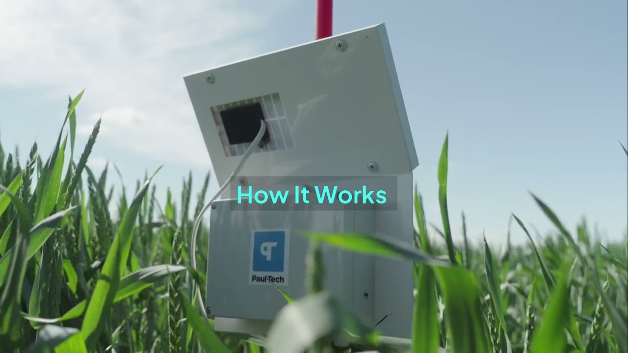 Real-time Nitrogen Uptake Monitoring