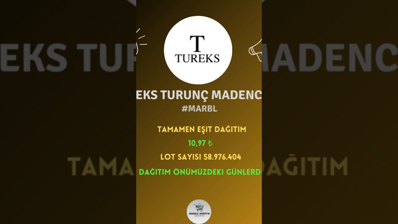 Yeni Halka Arz 