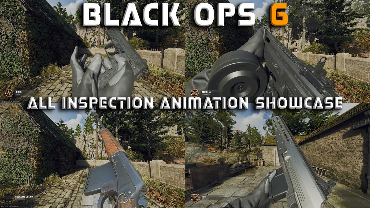 CALL OF DUTY BLACK OPS 6 : ALL INSPECTION ANIMATION [SEASON 1-6] SHOWCASE 4K