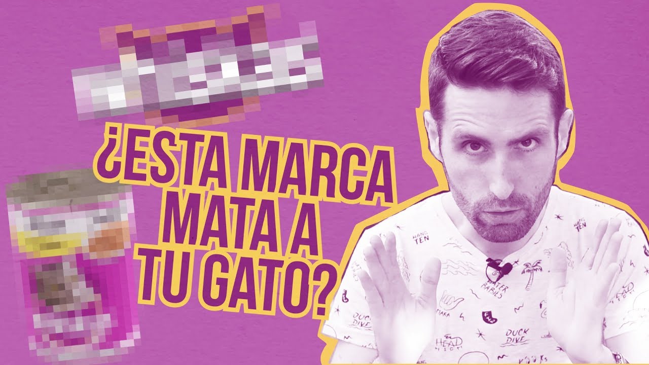¿Esta comida de gato es tan mala como dicen? 🙀☠️| ¿Verdad o bulo?