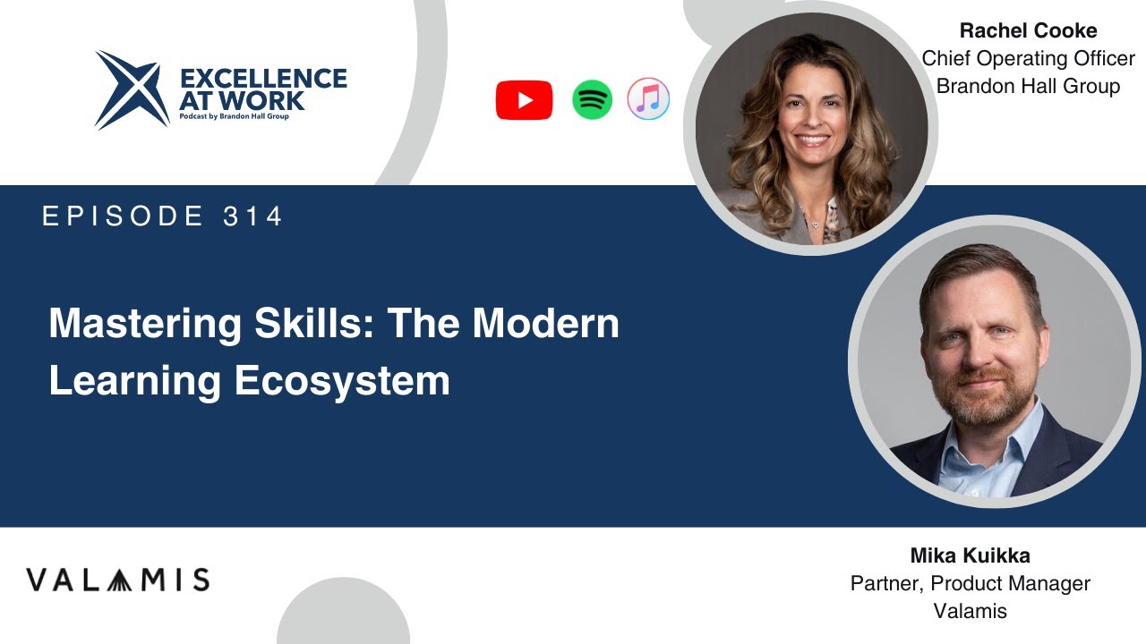 Excellence at Work Episode 314: Mastering Skills: The Modern Learning Ecosystem