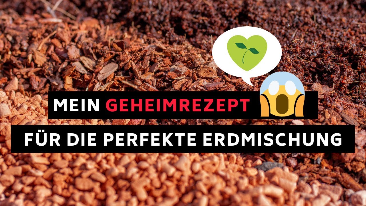 Meine Substrat-Mischung - So mische ich meine Erde für Zimmerpflanzen in 98% der Fälle!