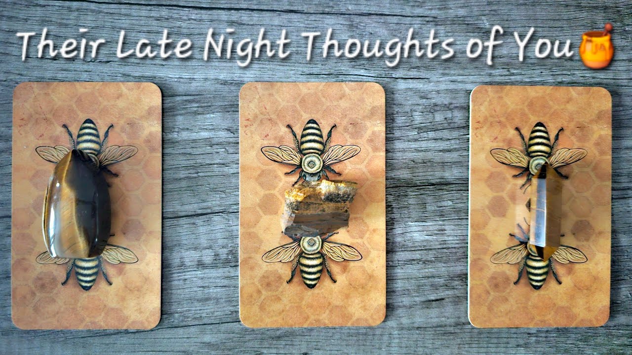 Their Late Night Thoughts of You!🖤💯🐝Pick a Card Love Tarot Reading💫Timeless💫