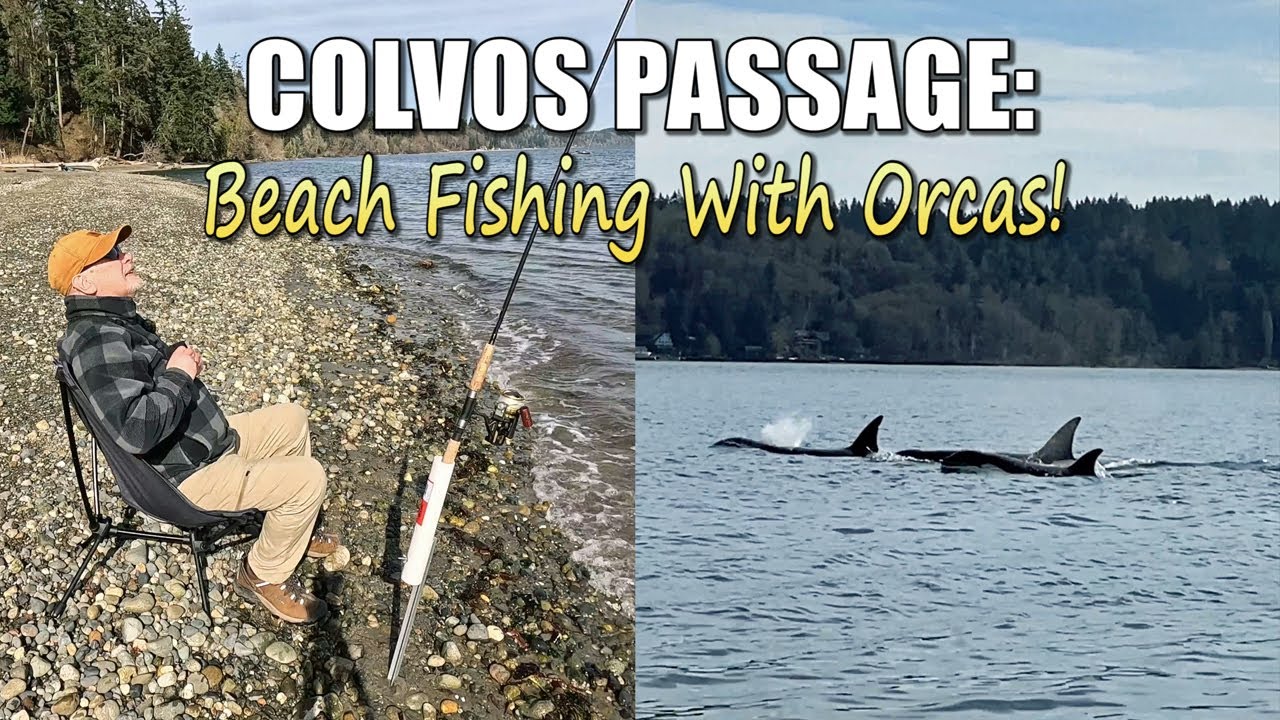 Colvos Passage: Beach Fishing With Orcas!