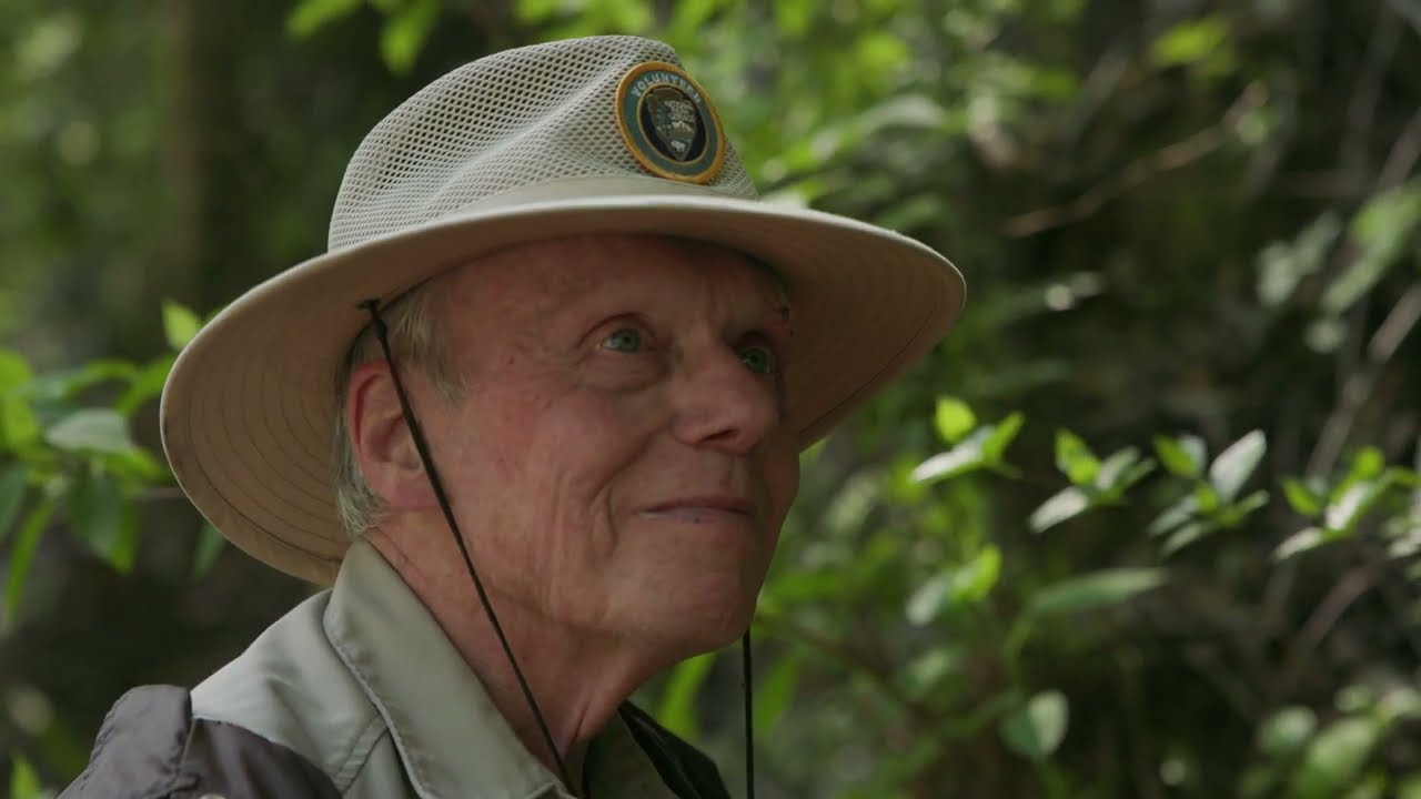 Wildflowering with Tom Harrington, Great Smoky Mountains National Park Volunteer