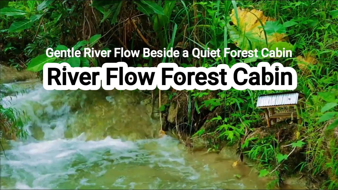 Gentle River Flow Beside a Quiet Forest Cabin #RelaxingSounds