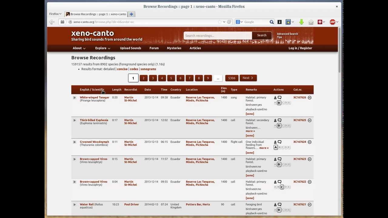 Downloading files from xeno-canto