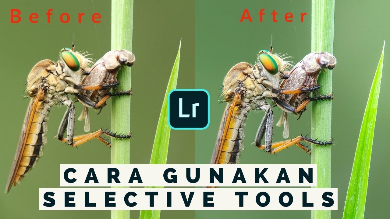 Cara Gunakan Selective Tools - Edit Foto Macro Lightroom Mobile