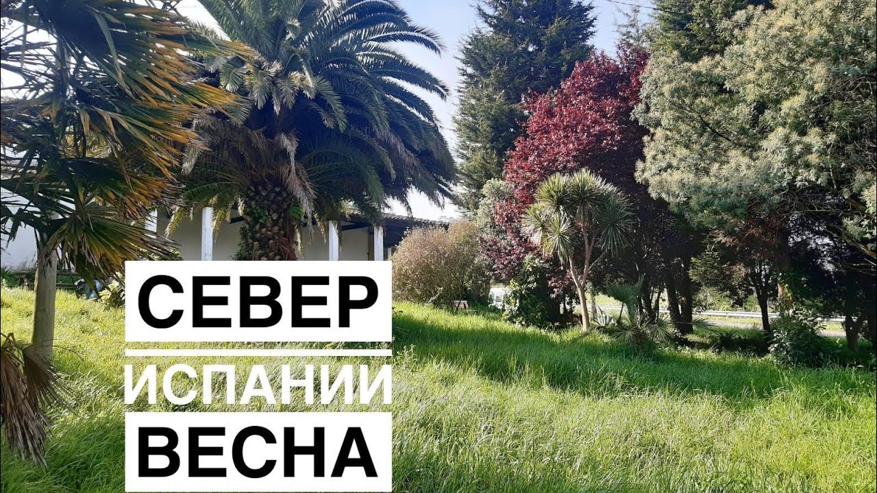 # 201 Север Испании. Астурия. Весна. Окрестности Вильявисьоса. Carda. Villaviciosa  Asturias