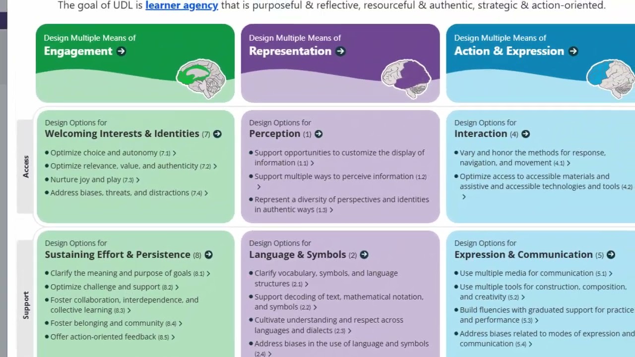 Exploring the structure of the Universal Design for Learning (UDL) 3.0 Guidelines