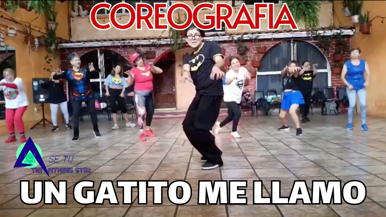 UN GATITO ME LLAMO - KAROL G🔥💃🏻  | COREOGRAFIA FT. DAVO DAVILA | SE TU THE FITNESS STAR