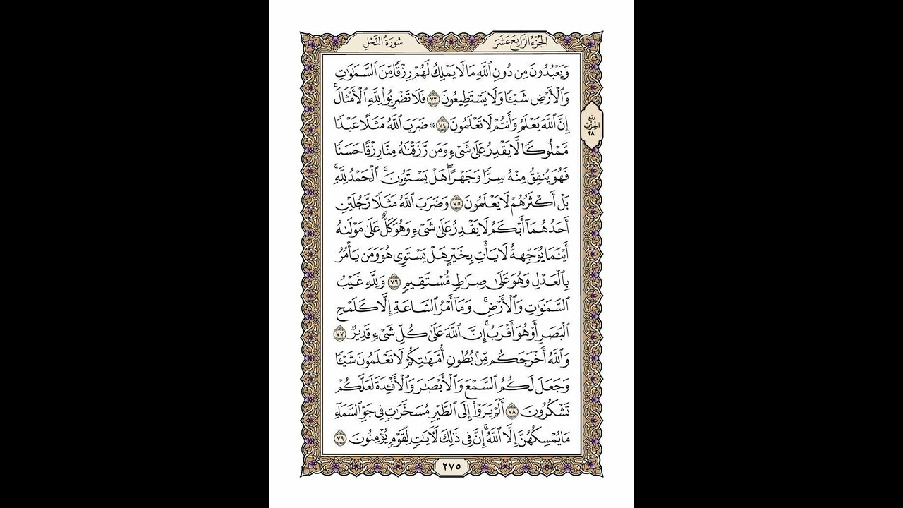 الوجه 275 من القرآن مكرر ١٠ مرات مع الآيات | سورة النحل | الشيخ خليفة الطنيجي