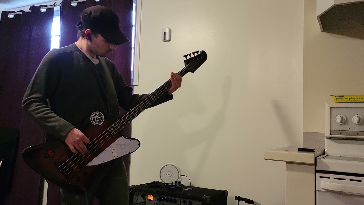 Days N' Daze - Flurry Rush | Bass Cover