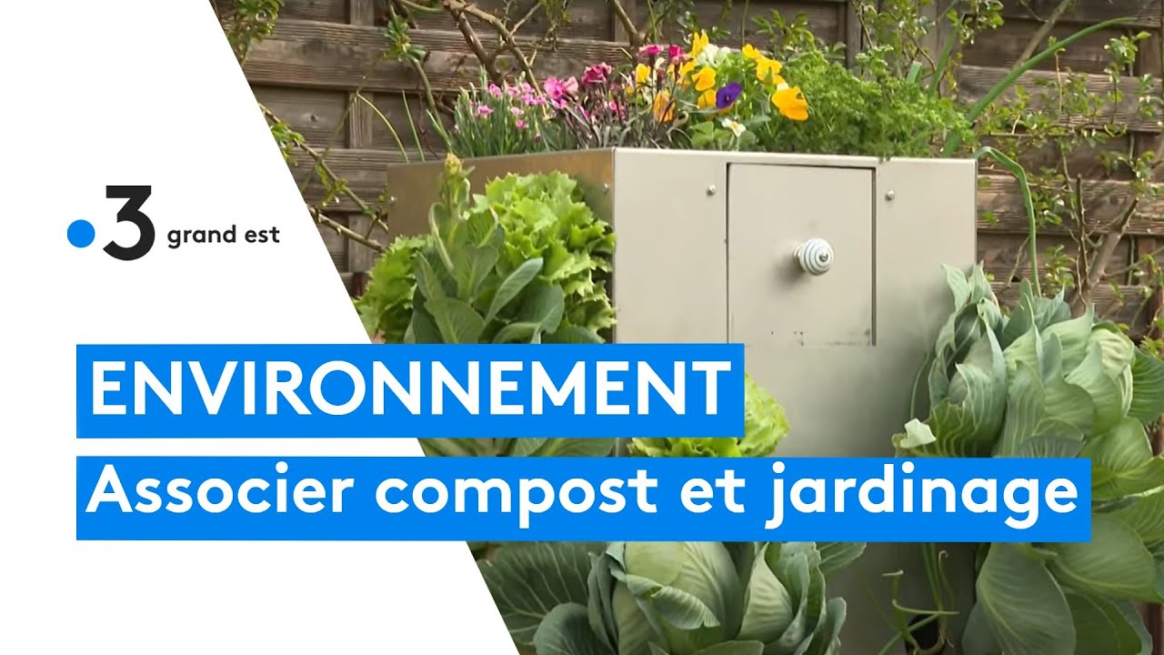 Jardins : il crée un potager-composteur autonome pour faire pousser ses légumes et faire son compost