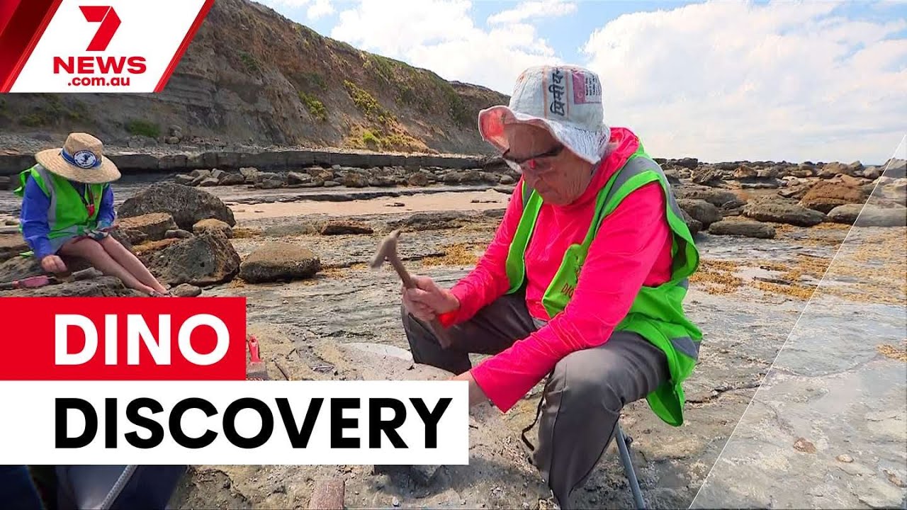 Grandma's incredible dinosaur discovery on a beach southeast of Melbourne | 7NEWS