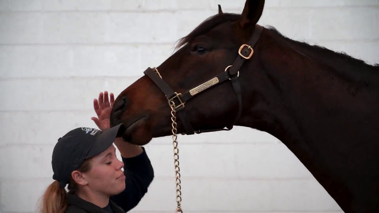 MyRacehorse & I Am Horse Racing Present: Cee Jay Harris