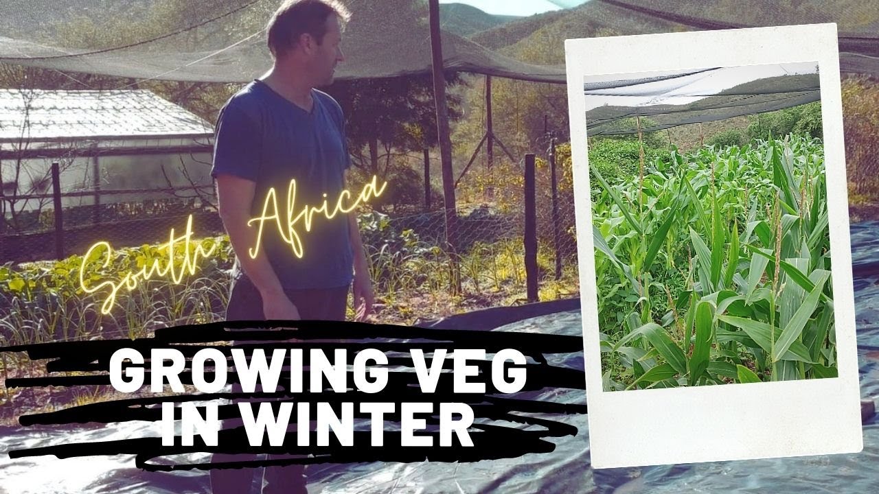 How we prepared our soil for planting Vegetables - On our off grid farm