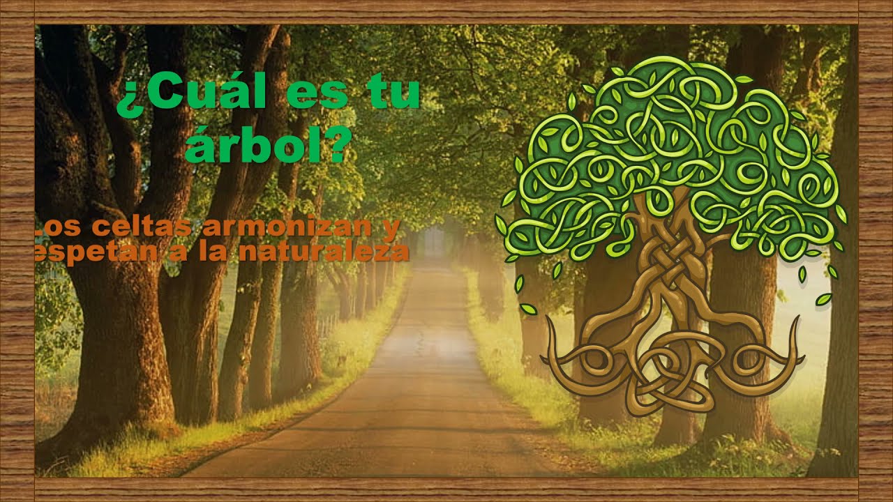 ¿Cuál es tu árbol de vida?
