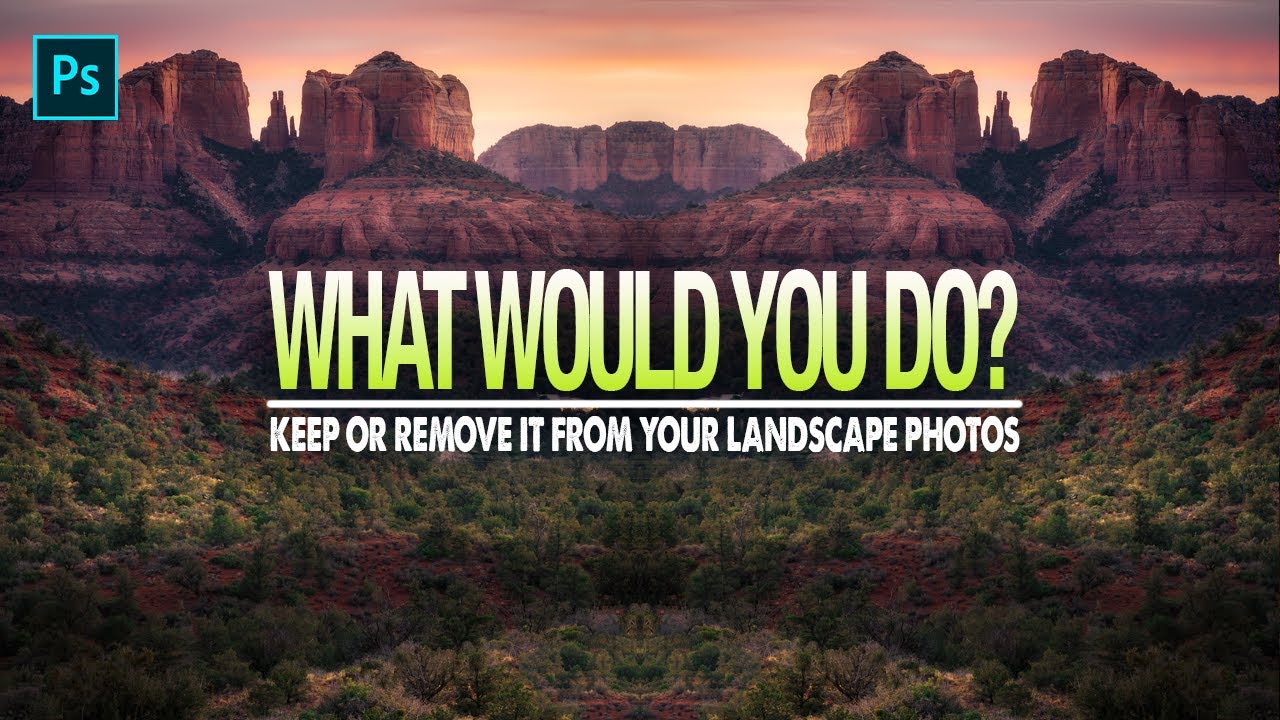 Would You REMOVE IT from YOUR Landscape PHOTO?