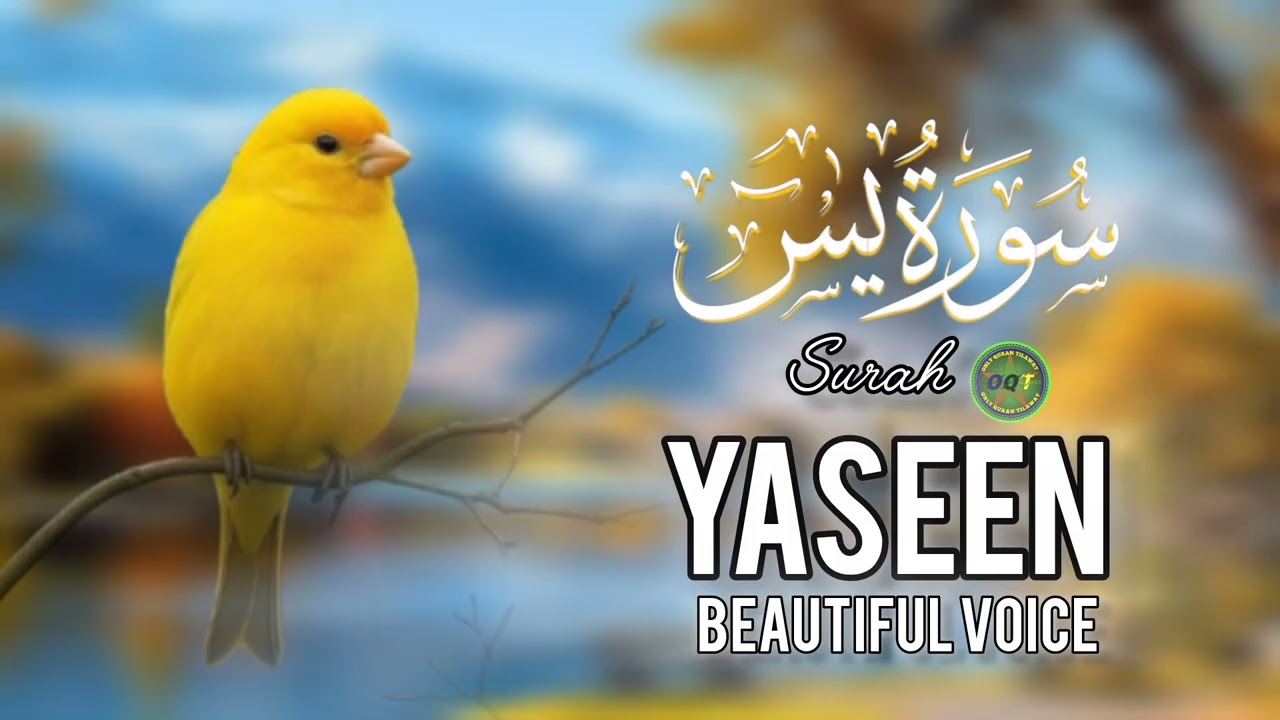 Surah yaseen beautiful recitation| Quran recitation 