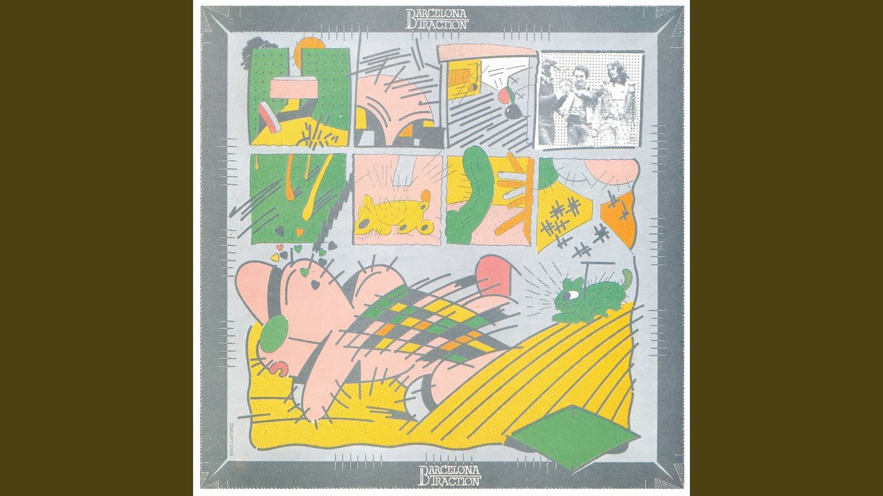 Has Vist Passar Els Ocells