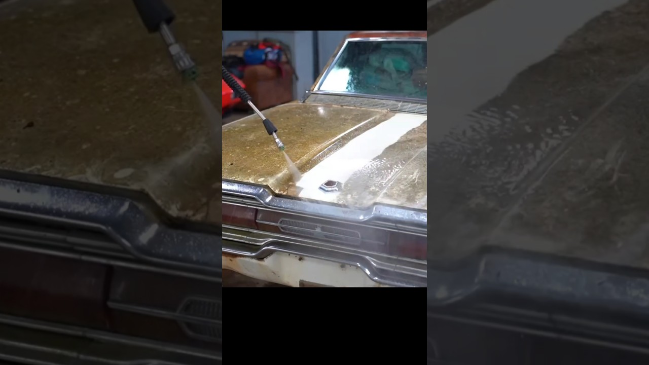 First Wash in 30+ YEARS on Abandoned Thunderbird 🚘💕 #BarnFind #Detailing #Satisfying #DetailDane