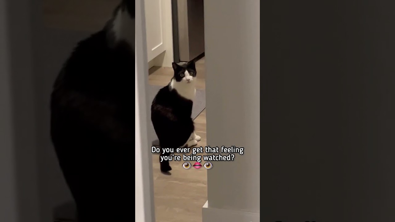 When you catch your 