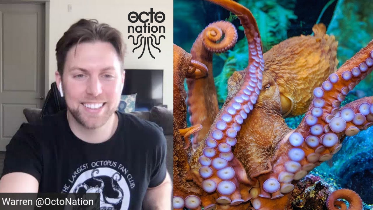 Learn about the OCTOPUS from a Marine Biologist & OctoNation