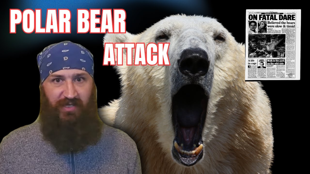 Juan Perez - Polar Bear Attack