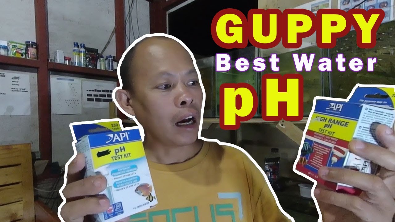 What is the safe water pH for guppy and other ornamental fishes