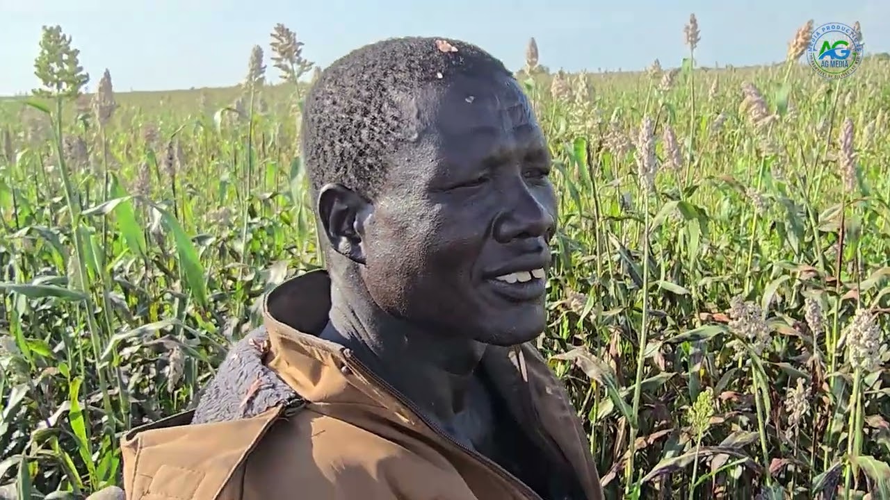 Discover Nature’s Bounty: Harvest Time Farm Visit at Kur e Kuot, Agapiu of Pathuyith (Patook).