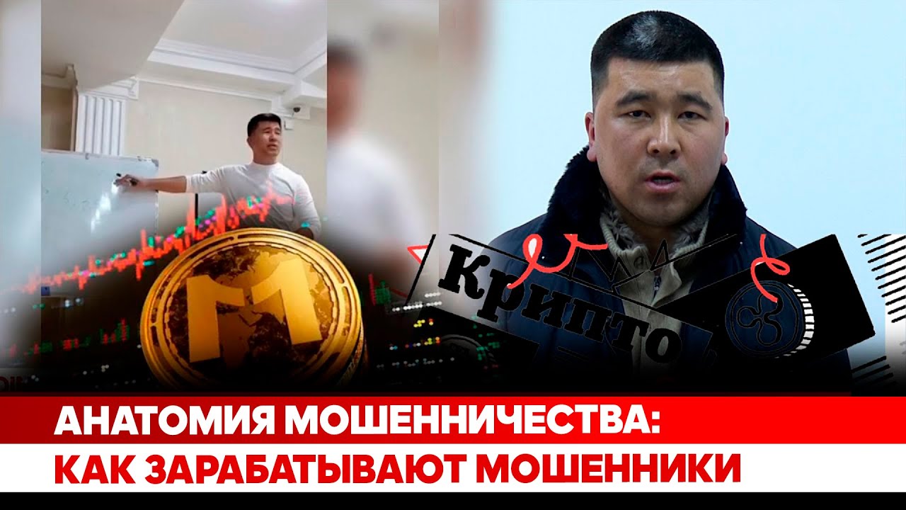 Анатомия мошенничества: Как зарабатывают мошенники