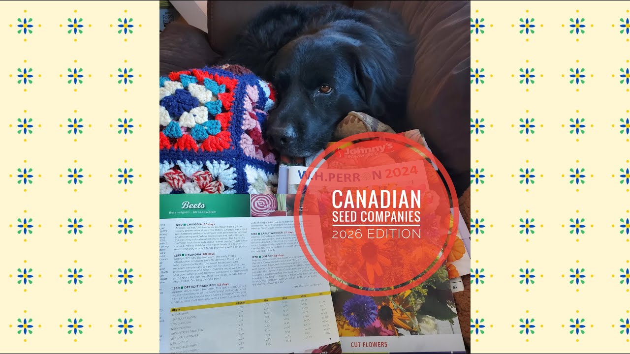 What I'm Growing in 2026 - Canadian Seed Company Edition