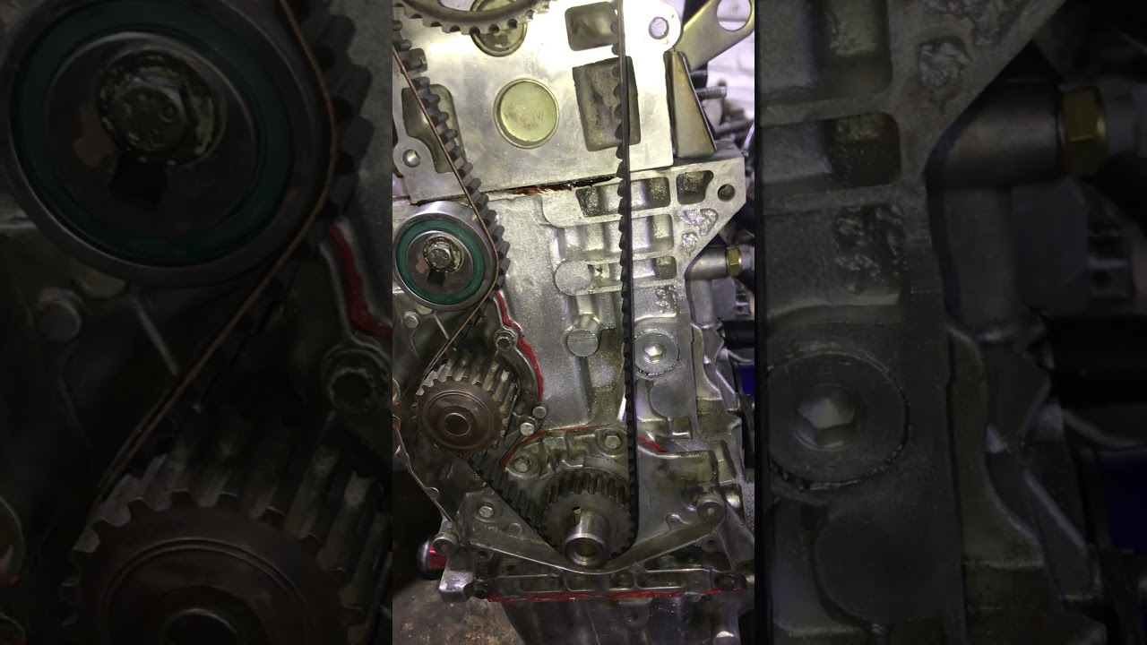 سنتر قايش التايمن للسمند والبيجو  timing belt xu7 peugeot 405 1.8