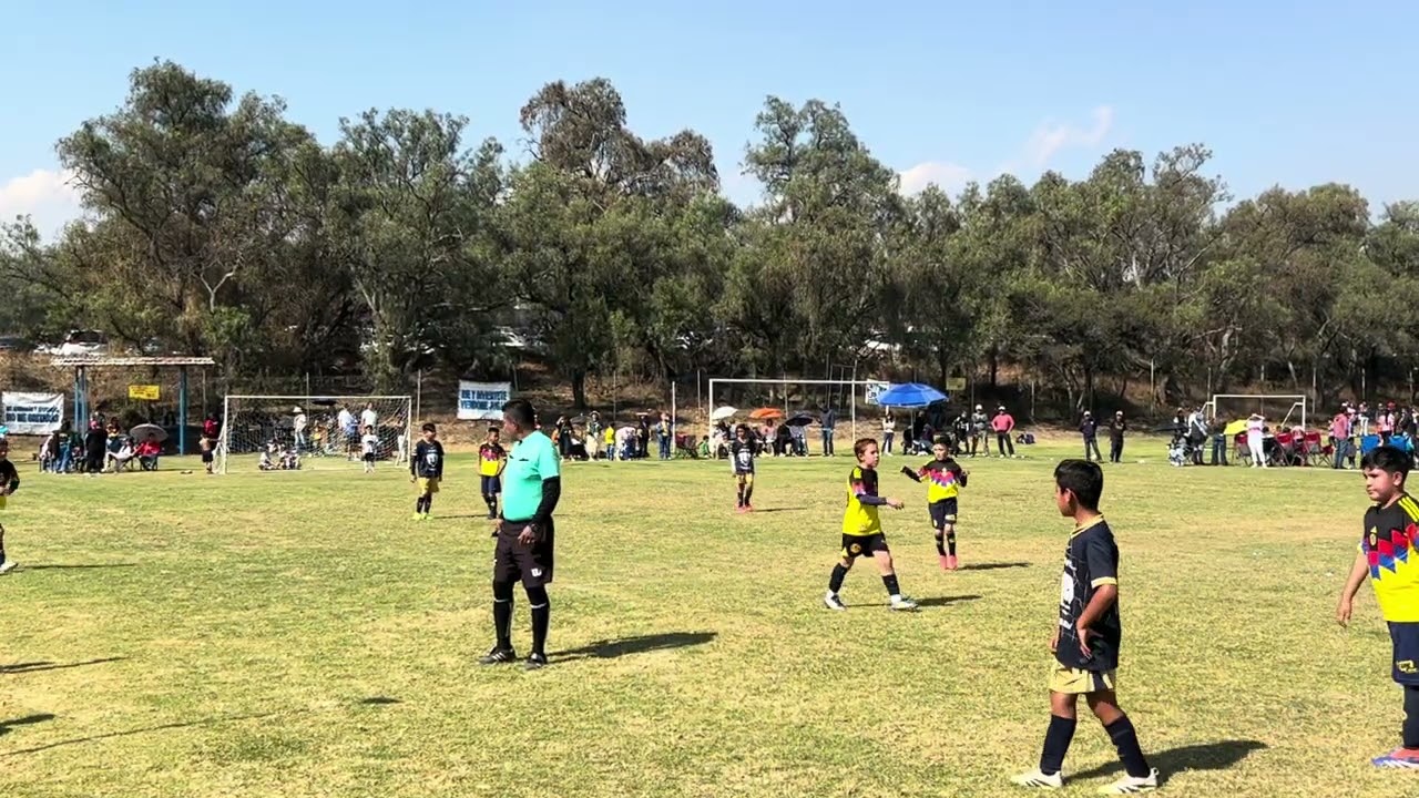 Torneo de copa 2025 LFP2000 Final 2016 Pumas Tepotzotlan VS Nido Aguila Tlalnepantla (2T)(3-3)