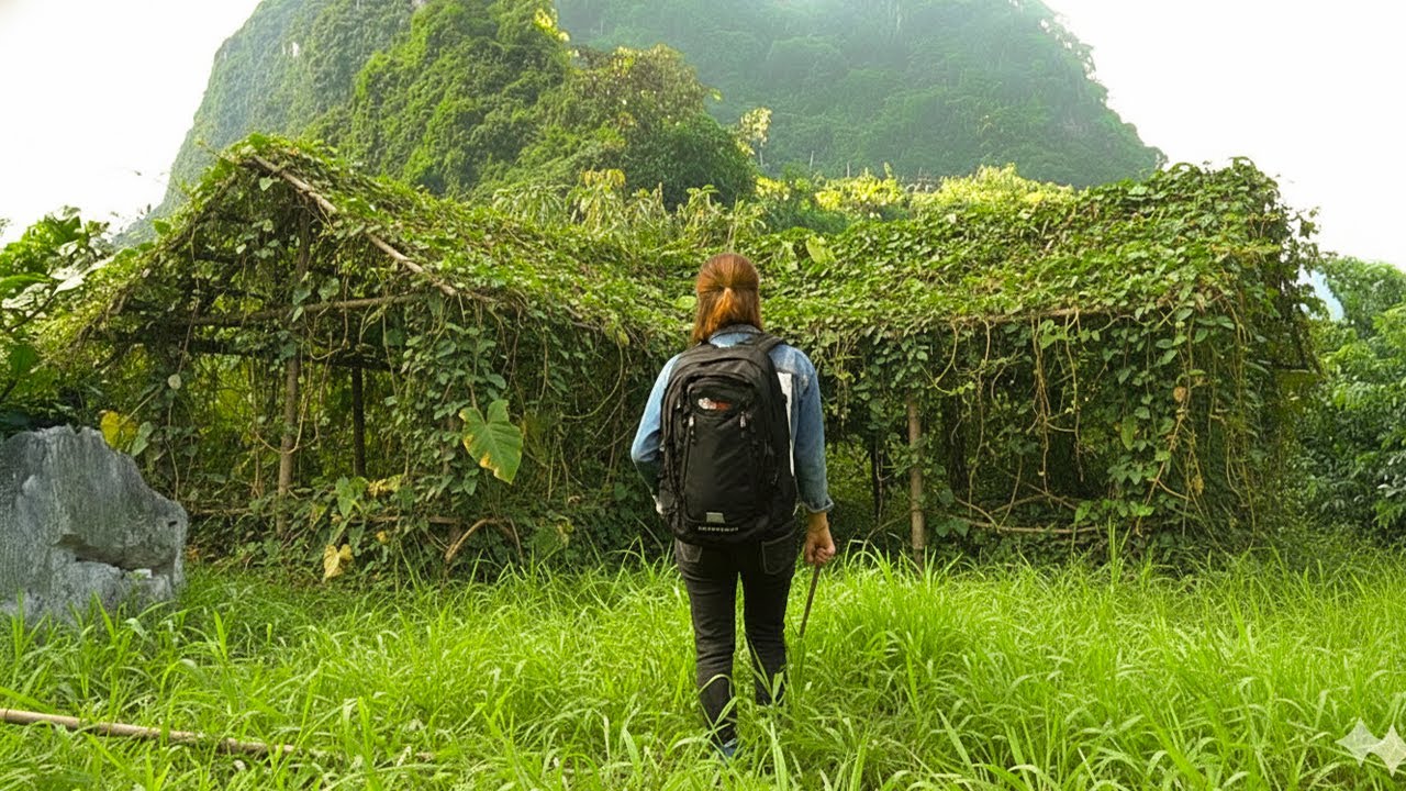 Living Alone on the Mountain: Building the Most Beautiful Bamboo House on the Mountaintop