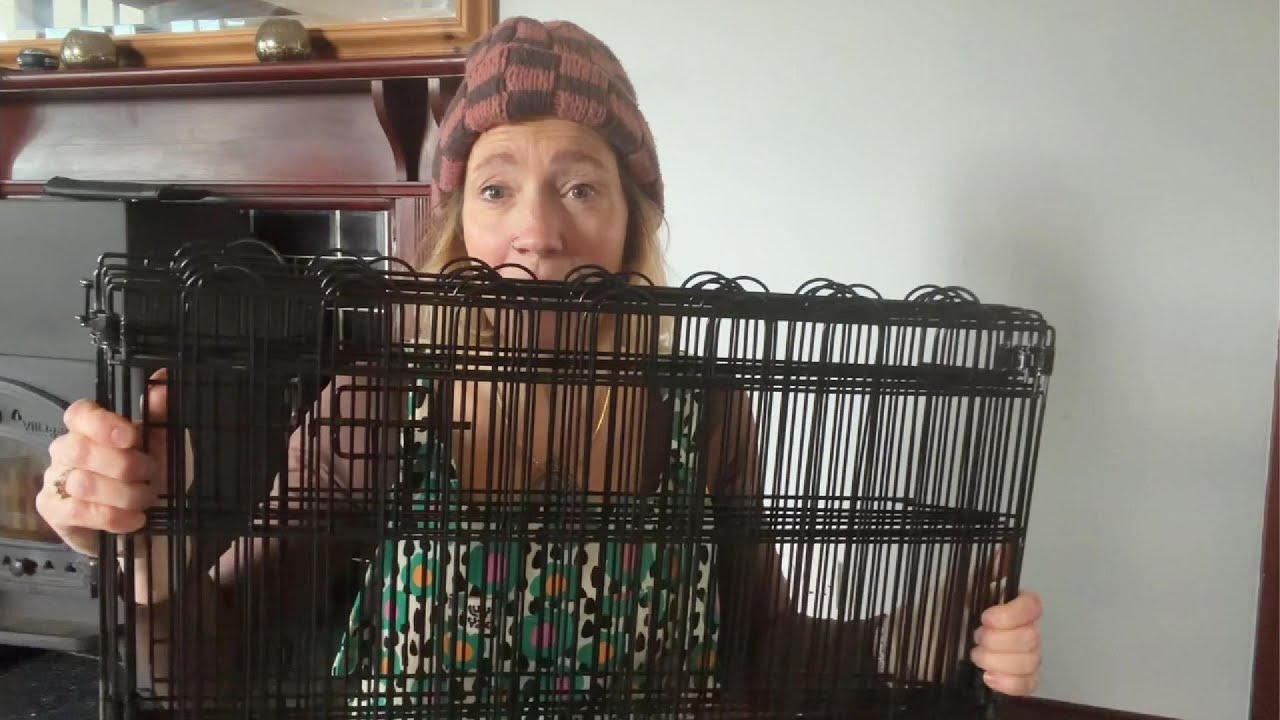 Secure Pet Playpen for Safe Indoor & Outdoor Use - Review