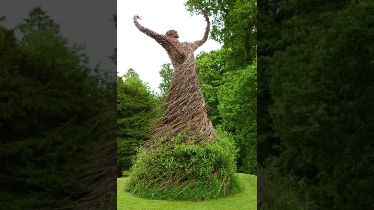 Árboles raros que nunca pensabas que existen🌍😱