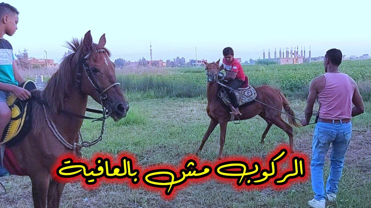 اول مره فرحه تتركب والقلق مسيطر علينا - طارت وياسين راكبها