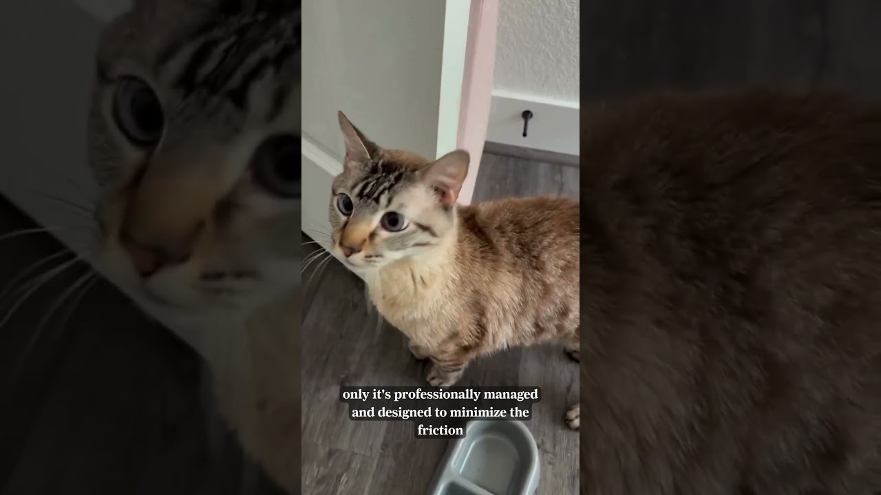 Сколько стоит аренда этого таунхауса с 9 спальнями, предназначенного для совместного проживания, ...