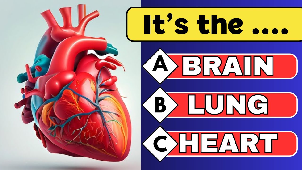 Human Body Trivia Quiz 🧠 | Test Your Knowledge Now!
