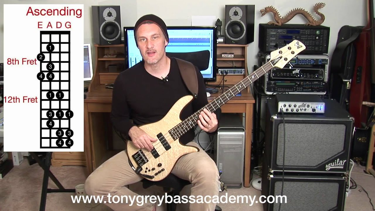 Bass Guitar Lesson - Lydian Mode - Tony Grey
